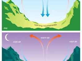 Breeze Airlines: What's the Deal?