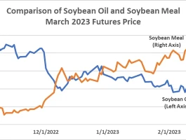 Soybean Price Surge: What the Trade Talk Data Really Shows