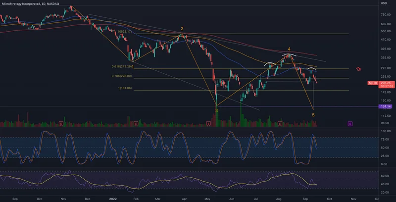 MicroStrategy (MSTR): A Data-Driven Look at its Valuation and Volatility