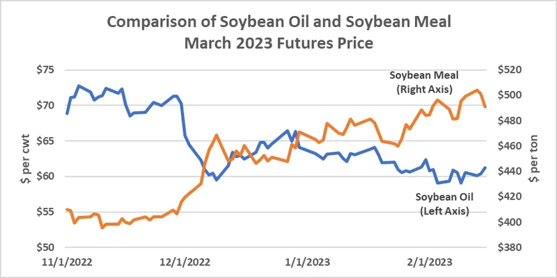 Soybean Price Surge: What the Trade Talk Data Really Shows