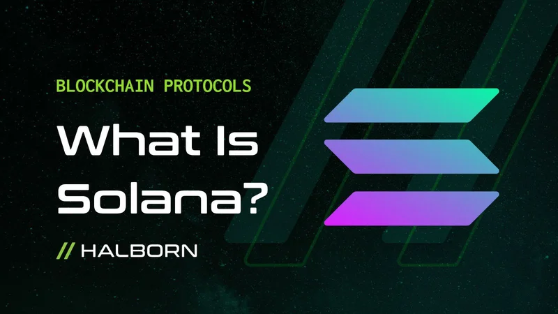 Solana's Bleeding: Trendline Breaks and Whale Moves